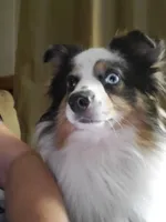 processed/ccb4b48b-59c1-497c-9c0a-e085e061d1c5/facility/b9346fe2-a721-4e0b-a073-5583b47b50a8