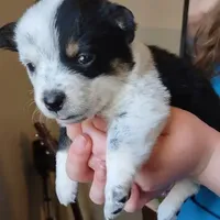 processed/ccb4b48b-59c1-497c-9c0a-e085e061d1c5/facility/e236d5a7-d4d6-4003-b5b1-c8e85f82afbd