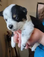 processed/ccb4b48b-59c1-497c-9c0a-e085e061d1c5/facility/e236d5a7-d4d6-4003-b5b1-c8e85f82afbd