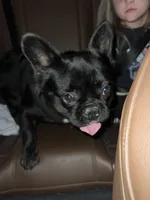 processed/ccc1313b-295a-4b87-82af-7b729723d547/listing/d403f3f0-3b04-403e-95c9-215389527014/18dba26d-3f2f-4410-be78-0ee32fb40f1f