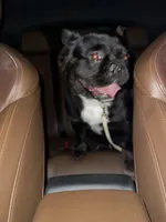 processed/ccc1313b-295a-4b87-82af-7b729723d547/listing/d403f3f0-3b04-403e-95c9-215389527014/2e23a405-c925-447c-bab8-66f3e1c6307b