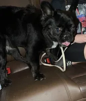 processed/ccc1313b-295a-4b87-82af-7b729723d547/listing/d403f3f0-3b04-403e-95c9-215389527014/43bbbb7d-a3f5-4938-9b54-11efb4b07efd