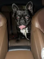 processed/ccc1313b-295a-4b87-82af-7b729723d547/listing/d403f3f0-3b04-403e-95c9-215389527014/a421bb4a-65c3-4bac-ac9f-2fe40427ae4f