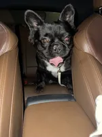 processed/ccc1313b-295a-4b87-82af-7b729723d547/listing/d403f3f0-3b04-403e-95c9-215389527014/ec9179ab-571b-455e-91ee-c652b7ae4207