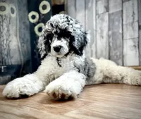 processed/ccc9f028-312e-41fa-9e51-2d8d17d7bcda/facility/02318b17-84fb-424d-9d11-bac5b7e207b8