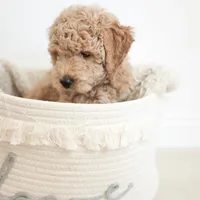 processed/ccc9f028-312e-41fa-9e51-2d8d17d7bcda/facility/465e501b-5d6b-40a0-bbb0-be624c20f206