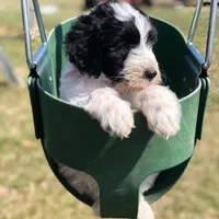 processed/ccc9f028-312e-41fa-9e51-2d8d17d7bcda/facility/48b8863b-f55e-47f7-9db2-5bf6eb53a0ad