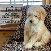 processed/ccc9f028-312e-41fa-9e51-2d8d17d7bcda/facility/7c55ed6b-e226-453e-8535-9a92e295c651