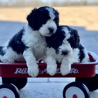 processed/ccc9f028-312e-41fa-9e51-2d8d17d7bcda/facility/85423e68-ab99-403e-a5e3-95c2e33a3e38