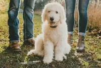 processed/ccc9f028-312e-41fa-9e51-2d8d17d7bcda/facility/a474bbd2-5cba-4d0d-a9ae-f32857a44e18