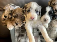 processed/ccc9f028-312e-41fa-9e51-2d8d17d7bcda/facility/eb36fa0d-4407-43c6-976a-c826650d67cd