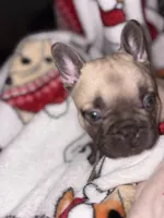 processed/cccf013d-ba7d-4103-839d-ef5618266f03/listing/babb496e-7827-4b4e-80a2-083b1b7c283c/282991da-5988-4f47-afe0-e2bbc2b5e9de