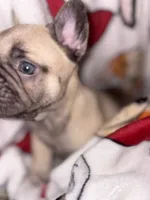 processed/cccf013d-ba7d-4103-839d-ef5618266f03/listing/babb496e-7827-4b4e-80a2-083b1b7c283c/5a68fbd3-f463-46e9-8772-14668656307c