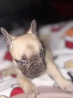 processed/cccf013d-ba7d-4103-839d-ef5618266f03/listing/babb496e-7827-4b4e-80a2-083b1b7c283c/8ce081ab-ac39-4bef-b1b6-a2601e8e606f