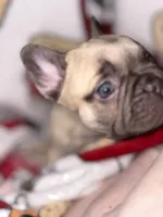 processed/cccf013d-ba7d-4103-839d-ef5618266f03/listing/babb496e-7827-4b4e-80a2-083b1b7c283c/b437b188-ac6e-4b5c-8d4f-afb9b039b34c