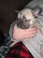 processed/cccf013d-ba7d-4103-839d-ef5618266f03/listing/babb496e-7827-4b4e-80a2-083b1b7c283c/fbd84bf4-adc3-441f-b8e5-b9b46e8a4a3a