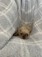 processed/cccf013d-ba7d-4103-839d-ef5618266f03/listing/f5e00b9a-f9a6-4447-b657-c125e767869e/0dbde4a9-61f6-4d56-a21a-31637ef9265f