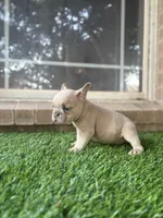 processed/cccf013d-ba7d-4103-839d-ef5618266f03/listing/f5e00b9a-f9a6-4447-b657-c125e767869e/fd54410a-e0b6-46a0-92af-c5332874518c