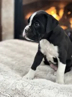 processed/ccee3eb9-f129-4ebd-93ad-7bf7e724f1f2/listing/4b4f4a20-4f55-4c95-92c6-5ec1eba0594c/975526c0-fb88-4c7a-b388-fd51e827fa14