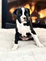 processed/ccee3eb9-f129-4ebd-93ad-7bf7e724f1f2/listing/4b4f4a20-4f55-4c95-92c6-5ec1eba0594c/a97e5fd2-62ab-42cf-8686-48c64c696d34