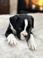 processed/ccee3eb9-f129-4ebd-93ad-7bf7e724f1f2/listing/4b4f4a20-4f55-4c95-92c6-5ec1eba0594c/c631eecf-18bd-46e0-80b6-79e95956e9a0