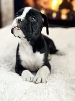 processed/ccee3eb9-f129-4ebd-93ad-7bf7e724f1f2/listing/4b4f4a20-4f55-4c95-92c6-5ec1eba0594c/ce1b2b9e-4676-4005-af51-dc1d54f52f69