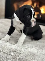 processed/ccee3eb9-f129-4ebd-93ad-7bf7e724f1f2/listing/4b4f4a20-4f55-4c95-92c6-5ec1eba0594c/d4c99fff-3ef3-4d90-a67b-be0635cf17fb