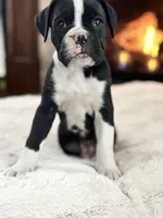 processed/ccee3eb9-f129-4ebd-93ad-7bf7e724f1f2/listing/4b4f4a20-4f55-4c95-92c6-5ec1eba0594c/e45c527e-e5bc-4e04-8ffb-7fe9e006f8c4