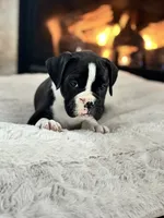 processed/ccee3eb9-f129-4ebd-93ad-7bf7e724f1f2/listing/4b4f4a20-4f55-4c95-92c6-5ec1eba0594c/e90e592d-1665-4ee8-8265-d27ebe967021