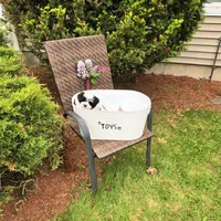 Oaklee, a female Morkie for sale in Merrimack, NH – 4 of 4