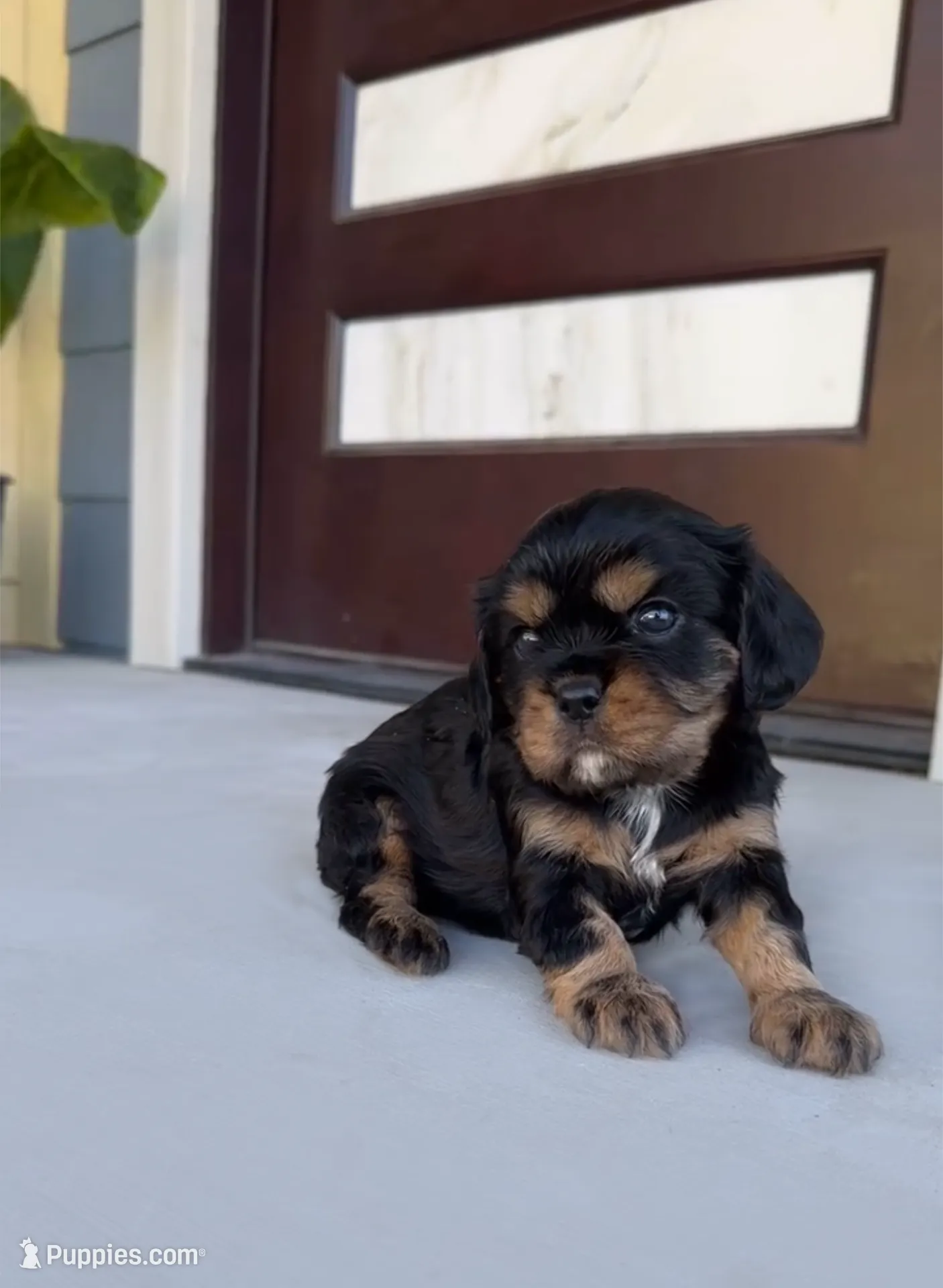 processed/ccf2a090-e49c-4b77-98ef-e28e38cf1f21/listing/cb8492ef-eb54-480f-8b10-5ba6886360f9/38d14d62-62c6-4749-a1e1-a0c659950518