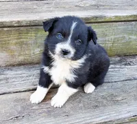 processed/cd04de24-b2e3-4b72-8d91-36ec4cbc93a2/listing/0a9428a8-f88f-4ddd-ab8f-0d8292f02506/8abb79ea-7f2f-4a85-b0e9-ca25f4ae75eb