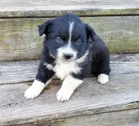 processed/cd04de24-b2e3-4b72-8d91-36ec4cbc93a2/listing/0a9428a8-f88f-4ddd-ab8f-0d8292f02506/ae8da52c-7b92-4a9b-bb2c-c744e327d991