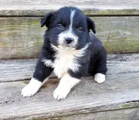 processed/cd04de24-b2e3-4b72-8d91-36ec4cbc93a2/listing/0a9428a8-f88f-4ddd-ab8f-0d8292f02506/f7653f19-b62f-4881-95a7-da3fda34bd39