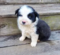 processed/cd04de24-b2e3-4b72-8d91-36ec4cbc93a2/listing/21c2e87a-f1f8-4b4d-8a0c-0633ab5af859/016f0d81-5303-4885-8891-d3d88577c70a