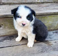 processed/cd04de24-b2e3-4b72-8d91-36ec4cbc93a2/listing/21c2e87a-f1f8-4b4d-8a0c-0633ab5af859/61a7965a-04dc-4533-b4ce-5aa3fb349bec