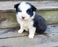 processed/cd04de24-b2e3-4b72-8d91-36ec4cbc93a2/listing/21c2e87a-f1f8-4b4d-8a0c-0633ab5af859/df7273c5-1149-4f40-af7f-e3c7ffddaeb6