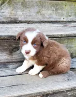 processed/cd04de24-b2e3-4b72-8d91-36ec4cbc93a2/listing/454ac3f0-83fa-48d3-8839-7c7dd3d8f57d/2b3de456-b697-4961-a184-e638a2ccbb33