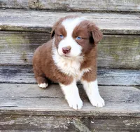 processed/cd04de24-b2e3-4b72-8d91-36ec4cbc93a2/listing/454ac3f0-83fa-48d3-8839-7c7dd3d8f57d/38d2cb63-49af-46df-bc8b-453b282faf00