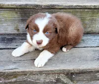 processed/cd04de24-b2e3-4b72-8d91-36ec4cbc93a2/listing/454ac3f0-83fa-48d3-8839-7c7dd3d8f57d/a8c4c44e-1a55-4ca5-8c94-e1859549ed8c