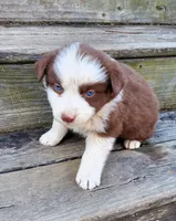 processed/cd04de24-b2e3-4b72-8d91-36ec4cbc93a2/listing/68e56591-6b0c-43af-adb7-366d922e343e/887690d5-1eba-42ea-baef-fb55332afcaa