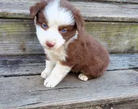 processed/cd04de24-b2e3-4b72-8d91-36ec4cbc93a2/listing/68e56591-6b0c-43af-adb7-366d922e343e/f170feb3-d63f-44d7-bbe6-2c7d0bd1a048