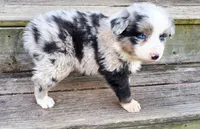 processed/cd04de24-b2e3-4b72-8d91-36ec4cbc93a2/listing/bcd35dab-584c-4786-b8ef-35865b22426e/2689edaa-3ba2-4871-9941-172ef13791c3