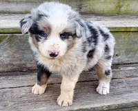 processed/cd04de24-b2e3-4b72-8d91-36ec4cbc93a2/listing/bcd35dab-584c-4786-b8ef-35865b22426e/896b25aa-92c0-4b44-8142-48b2ca402e65