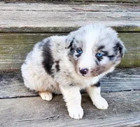 processed/cd04de24-b2e3-4b72-8d91-36ec4cbc93a2/listing/d3eaacc1-43f1-4e98-963f-3402363e9b4f/498502c7-8f30-4465-9f1a-41d59dd8b224