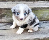 processed/cd04de24-b2e3-4b72-8d91-36ec4cbc93a2/listing/d3eaacc1-43f1-4e98-963f-3402363e9b4f/6a98c992-7260-4561-aac5-be34855c20f6