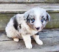 processed/cd04de24-b2e3-4b72-8d91-36ec4cbc93a2/listing/d3eaacc1-43f1-4e98-963f-3402363e9b4f/aa69aabf-e62e-4772-b035-95d9e71be1eb