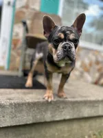 processed/cd13e569-0929-4016-80dd-fdd006c2514a/listing/8d22cfaf-8f8e-4df1-b665-6d79dd9faefa/80ef0d8c-ec62-4f91-b631-4ee2fba2db62