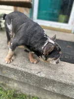 processed/cd13e569-0929-4016-80dd-fdd006c2514a/listing/8d22cfaf-8f8e-4df1-b665-6d79dd9faefa/b23cbfb8-d2d8-44b6-9d13-e96700665c5f