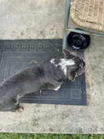 processed/cd13e569-0929-4016-80dd-fdd006c2514a/listing/8d22cfaf-8f8e-4df1-b665-6d79dd9faefa/fd038848-b2cd-4d5b-ad23-e8d1210701df